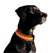 Cargar imagen en el visor de la galería, Collar con luces LED caminatas nocturnas para mascotas