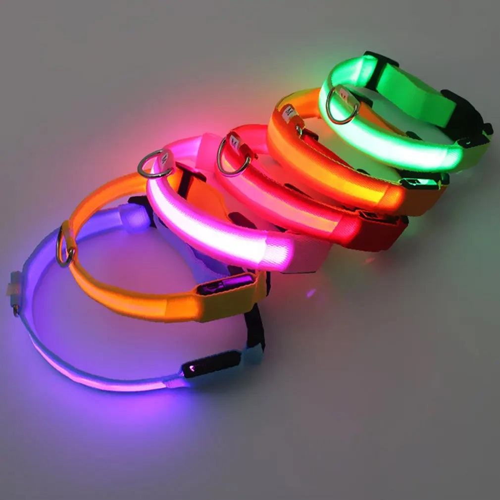 Collar con luces LED caminatas nocturnas para mascotas