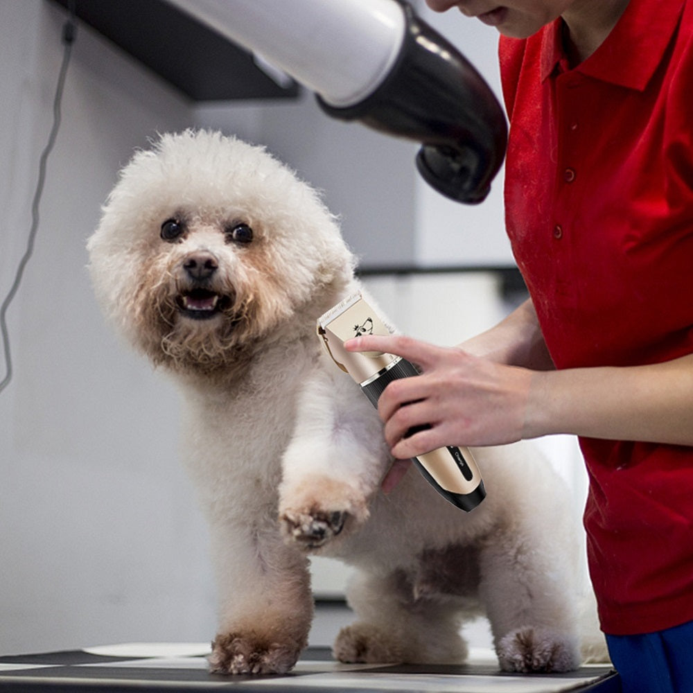 Máquina kit completo de peluquería para mascotas perros y gatos