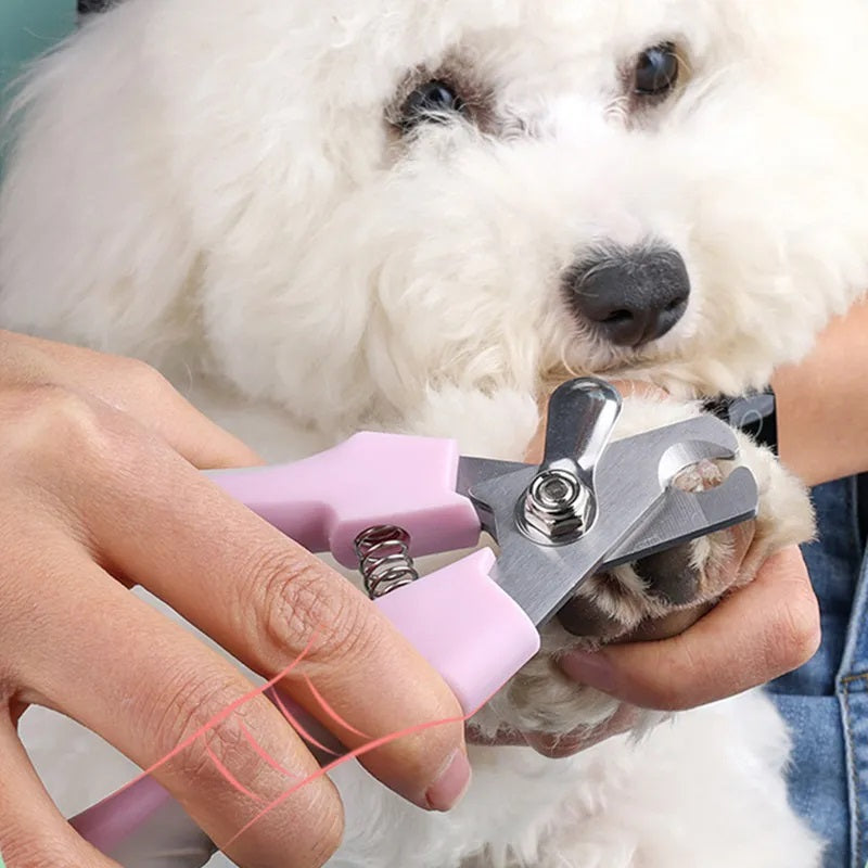 Máquina kit completo de peluquería para mascotas perros y gatos