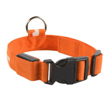 Cargar imagen en el visor de la galería, Collar con luces LED caminatas nocturnas para mascotas